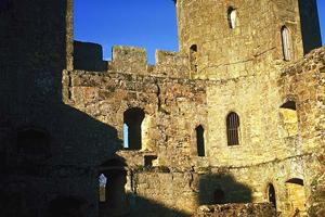 2025年最新版 | 中古プレハブの選び方とお得に購入するための完全ガイド