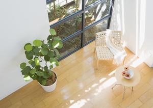 仙台市青葉区で理想の新築一戸建てを見つけるための完全ガイド