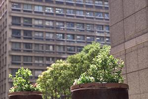 宇都宮での学生向けの賃貸マンション探し