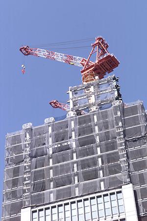 2025年最新版｜アスレチック工事の完全ガイド：安全・耐久性を高めるためのポイント